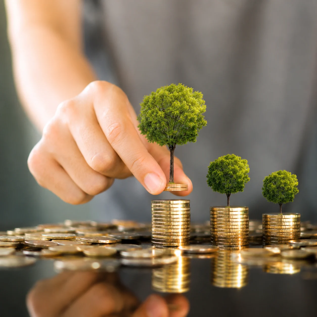 Growing wealth through careful red sandalwood investment