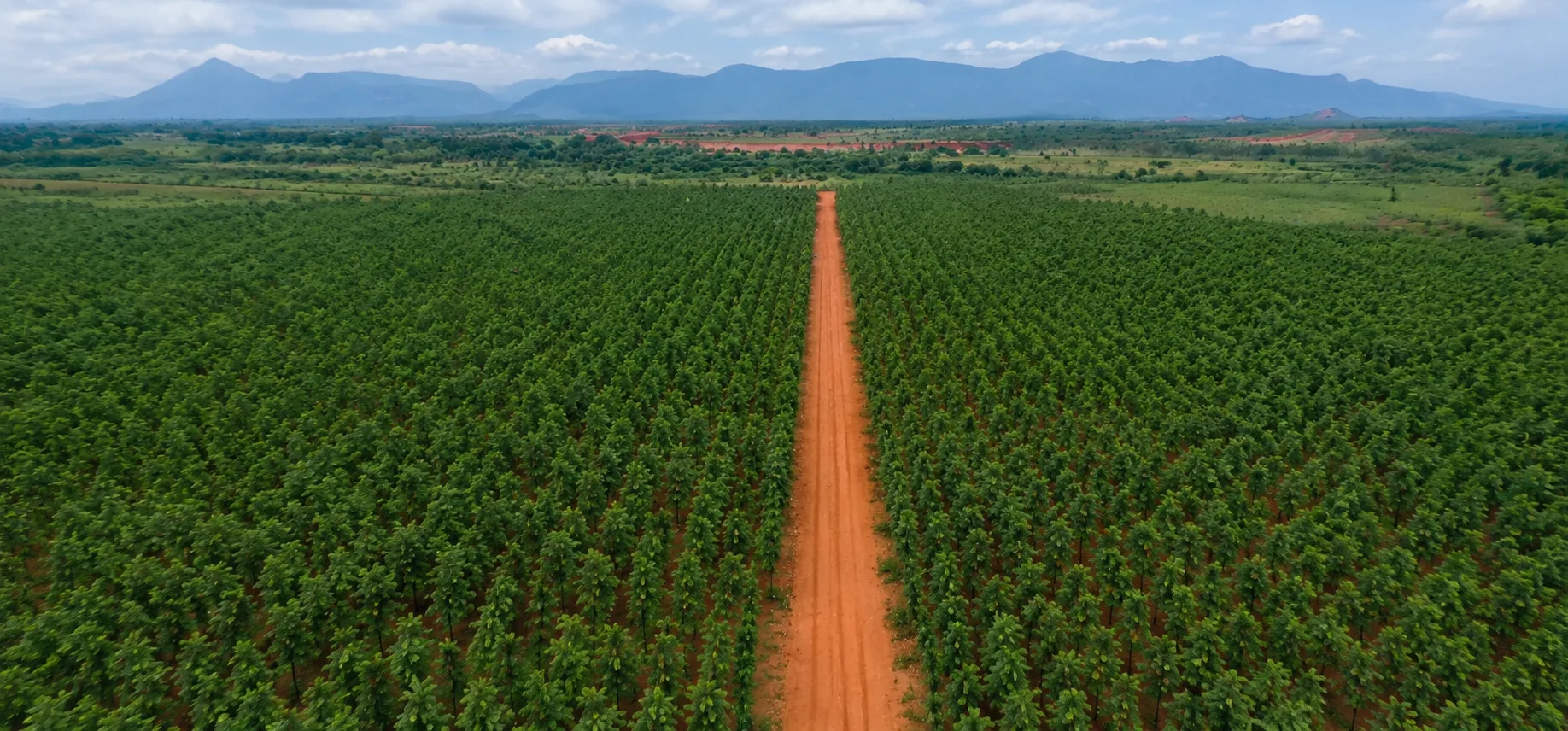 Choosing a farmland partner